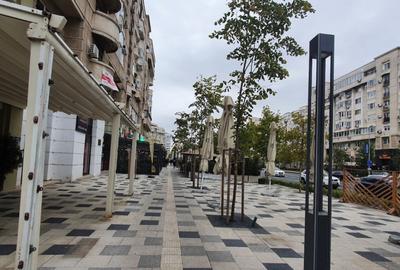 Spatiu comercial, stradal , de inchiriat in Bdul Decebal - 20