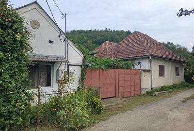 Casă individuală cu 14 camere cu Teren 1439 Mp în Brădișoru de Jos - 34