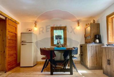 Casa de vacanta la munte de vanzare - 17