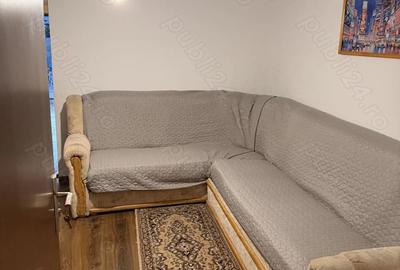 Casă cu 3 camere cu Teren 8000 Mp în Brebeni - 4