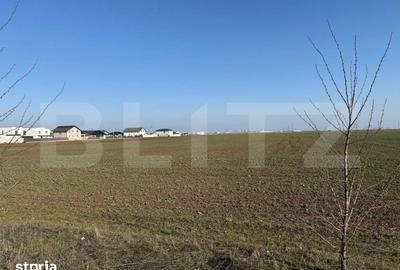Teren de 391 mp, în Târgșoru Vechi - 2