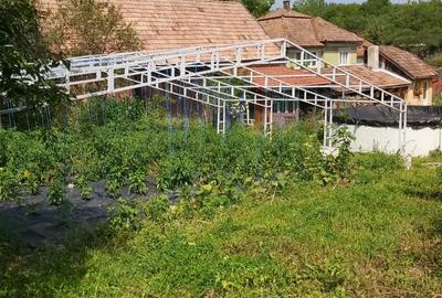 Casă cu 3 camere cu Teren 1683 Mp în Băgara - 10