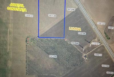 Teren de 33700 mp, în Lumina - 2