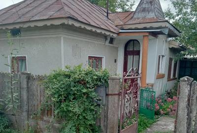 Vand casa la tara, complet utilata, doua locuinte in curte - 2