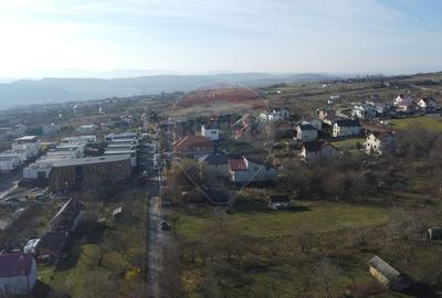 Teren agricol extravilan de 20146 mp, în Dâmbul Rotund - 5