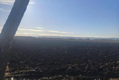 Teren de 4200 mp, în Rădăuți - 1