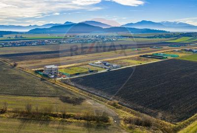 Teren Construcții intravilan de 800 mp, în Bod - 6