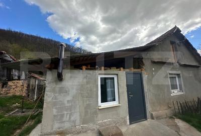Casă cu 4 camere cu Teren 12186 Mp în Boiu - 1