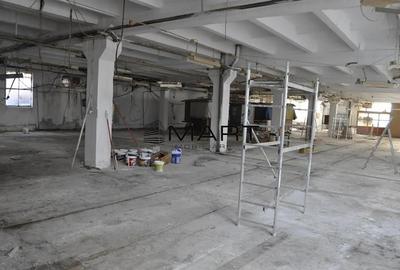 Hala industriala 1600mp zona Lazaret str. Dorobantilor - 2