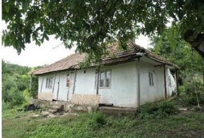 Casa si teren Costinesti, Botosani, ID: R2728052 - 29