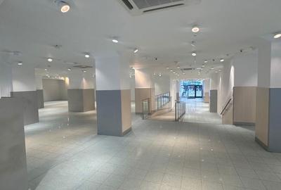 Spațiu comercial, de 467 mp, în Horea - 3