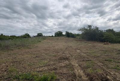 Teren Construcții intravilan de 1500 mp, în Est - 5