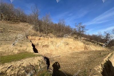 Teren intravilan de 1641 mp cu PUZ aprobat si utilitati in Cisnadioara - 4