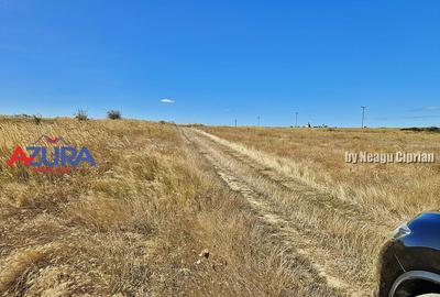 AZURA Imobiliare - Oportunitate rara de investi?ie in ... - 7