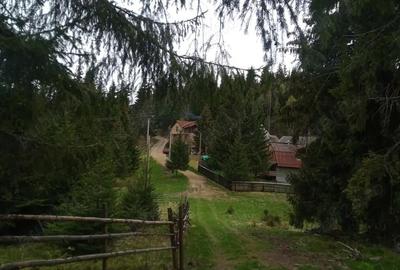 Teren de 653 mp, în Muntele Băișorii - 2