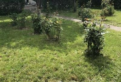 Teren cu iesire la lac si casa in stil brancovenesc Teren cu iesire la lac si casa in stil brancovenesc - 18