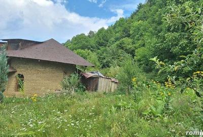 Casă cu 6 camere cu Teren 2700 Mp în Bradu - 10