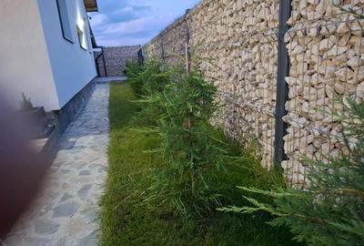 Casă cu 4 camere cu Teren 500 Mp în Trivale - 9