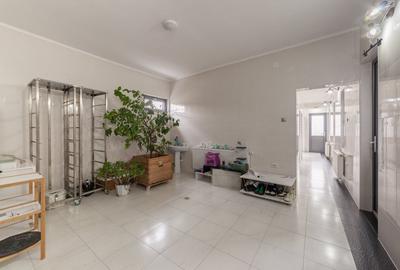 Cladire industriala / comerciala – 320 mp utili | Teren 3.200 mp - 7