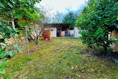 DOUA Case, curte comuna, 700mp teren, Bocsa Montana - 10