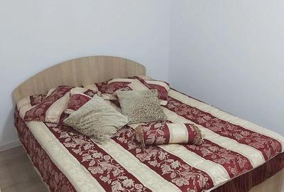 Apartament cu 2 camere semidecomandat în Vest - 5