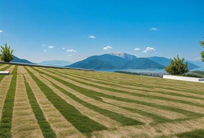 Teren intravilan 10562 mp de vanzare/ Bragadiru - 4