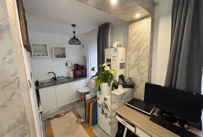 Garsonieră de vânzare – parter,central, B-dul Regele Mihai I zona Sf.Maria - 3