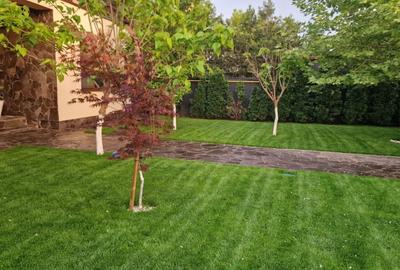 Fundulea – Vila 185 mp cu teren 4000 mp, potential dezvoltare imobiliara - 4