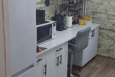 Apartament cu 2 camere semidecomandat în Traian - 7