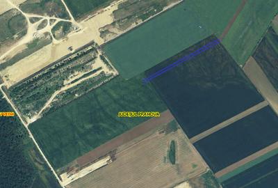 Teren de 12500 mp, în Târgșoru Vechi - 2