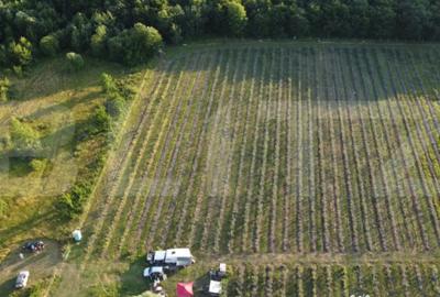 Teren în Central - 2