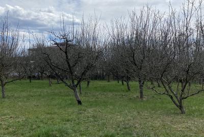 Teren în Pruni - 12