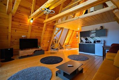 FILM! 2 Case,A frame,mobilate, accesorizate, 2.500 mp teren, peisaj, Moieciu, Br - 2