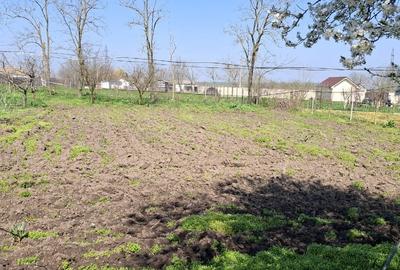 Casă individuală cu 5 camere cu Teren 1600 Mp în Ciocârlia - 7