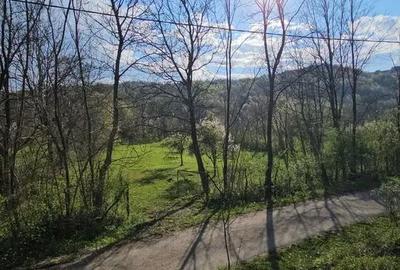 Teren în Brebu - 1