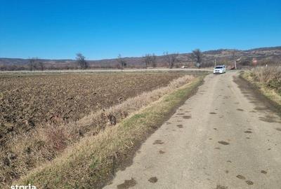 Teren de 3500 mp, în Pericei - 2