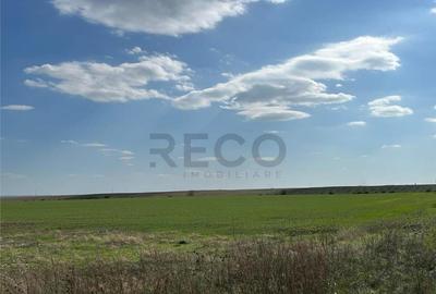 RECO Oportunitate teren 25000mp Santandrei - 2