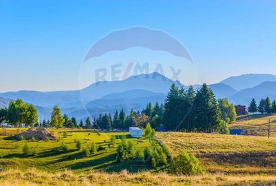 COMISION 0% Teren 19.300 mp/?irnea/ Oportunitate de inve... COMISION 0% Teren 19.300 mp/?irnea/ Oportunitate de inve... - 9