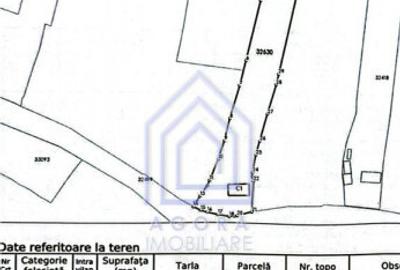 48 ari teren , cu casa batraneasca, Antoceni, Forasti, Sucea - 3