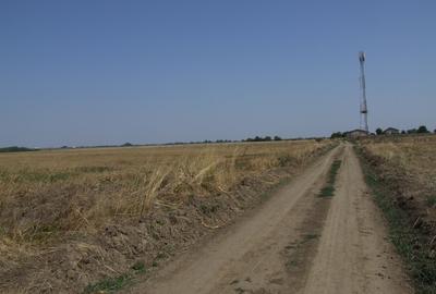 Teren intravilan de 9817 mp, în Domnești - 5