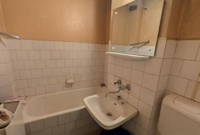 Garsoniera ultracentrala vedere la Parcul Catedralei - 8