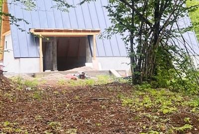 CHIUZBAIA 2CABANE cu teren de aprox. 70ari ! - 4
