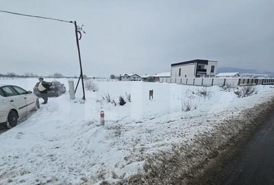 Teren extravilan 16 arii Jelna - 3