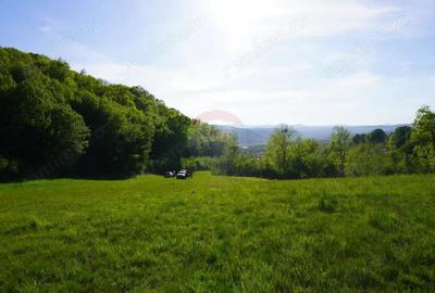 Teren 33,137mp Sighetu Marmatiei / Strada Mocani?ei - 3