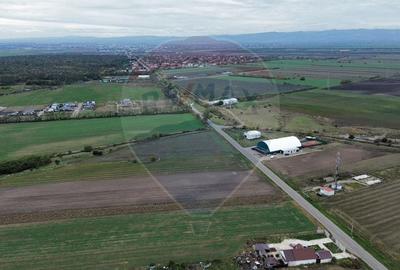 Teren Construcții intravilan de 1800 mp, în Mirceștii Vechi - 3