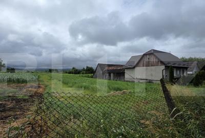 Teren intravilan 29 ari, Jelna, acces la asfalt - 2