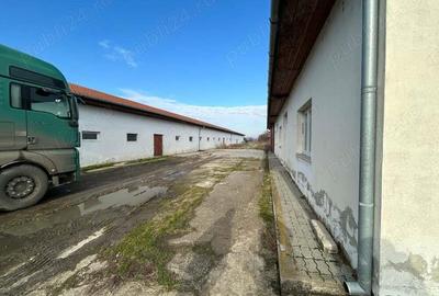 Vand teren intravilan,zona industriala,st.16,8 ha. + 8 ha.agricol,in Sanicolau Mare, la DN6,la sosea - 8