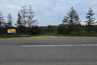 Teren agricol extravilan de 18000 mp, în Boțârlău - 34