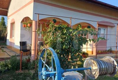 Casă cu 3 camere cu Teren 4717 Mp în Central