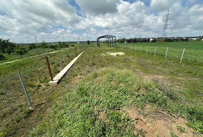Teren Construcții intravilan de 2000 mp, în Săbăreni - 11